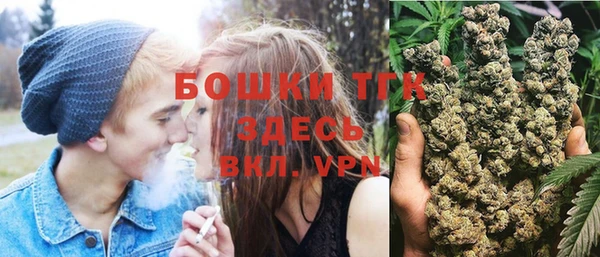 ПСИЛОЦИБИНОВЫЕ ГРИБЫ Абаза
