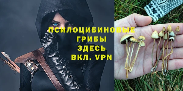 ПСИЛОЦИБИНОВЫЕ ГРИБЫ Абаза